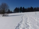 Filename=15-02-15P1010177.JPG
Filesize=129KiB
Dimensions=1024x768
Date added=Feb 15, 2015 15-02-15P1010177.JPG