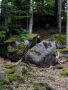 Filename=15-08-01habichtstein02.jpg
Filesize=211KiB
Dimensions=768x1024
Date added=Aug 01, 2015 15-08-01habichtstein02.jpg