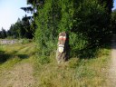 Filename=15-08-22kaitersberg01.jpg
Filesize=322KiB
Dimensions=1024x768
Date added=Aug 24, 2015 15-08-22kaitersberg01.jpg