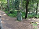 Filename=15-08-22kaitersberg05.jpg
Filesize=358KiB
Dimensions=1024x768
Date added=Aug 24, 2015 15-08-22kaitersberg05.jpg