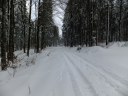 Filename=16-01-16DSCF4983.JPG
Filesize=241KiB
Dimensions=1024x768
Date added=Jan 16, 2016 16-01-16DSCF4983.JPG