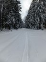 Filename=16-01-16DSCF4987.JPG
Filesize=209KiB
Dimensions=768x1024
Date added=Jan 16, 2016 16-01-16DSCF4987.JPG