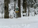 Filename=16-01-16DSCF4989.JPG
Filesize=243KiB
Dimensions=1024x768
Date added=Jan 16, 2016 16-01-16DSCF4989.JPG