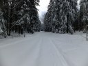 Filename=16-01-16DSCF4991.JPG
Filesize=226KiB
Dimensions=1024x768
Date added=Jan 16, 2016 16-01-16DSCF4991.JPG