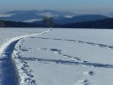 Filename=17-01-21weissenstein12.jpg
Filesize=132KiB
Dimensions=1024x768
Date added=Jan 22, 2017 17-01-21weissenstein12.jpg