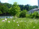 Dateiname=17-06-03P1030486.JPG
Dateigröße=277KB
Abmessungen: 1024x768
hinzugefügt am: 04. Juni 2017 17-06-03P1030486.JPG
