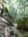 Dateiname=17-06-03P1030494.JPG
Dateigröße=244KB
Abmessungen: 768x1024
hinzugefügt am: 04. Juni 2017 17-06-03P1030494.JPG