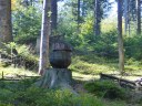 Dateiname=17-09-30P1030699.jpg
Dateigröße=262KB
Abmessungen: 1024x768
hinzugefügt am: 03. Oktober 2017 17-09-30P1030699.jpg