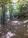 Dateiname=17-09-30P1030702.jpg
Dateigröße=318KB
Abmessungen: 768x1024
hinzugefügt am: 03. Oktober 2017 17-09-30P1030702.jpg