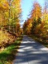 Dateiname=17-10-15P1030750.JPG
Dateigröße=298KB
Abmessungen: 768x1024
hinzugefügt am: 17. Oktober 2017 17-10-15P1030750.JPG