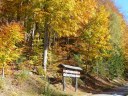 Dateiname=17-10-15P1030755.JPG
Dateigröße=374KB
Abmessungen: 1024x768
hinzugefügt am: 17. Oktober 2017 17-10-15P1030755.JPG