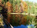 Dateiname=17-10-15P1030769.JPG
Dateigröße=308KB
Abmessungen: 1024x768
hinzugefügt am: 17. Oktober 2017 17-10-15P1030769.JPG
