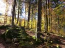 Dateiname=17-10-15P1030792.JPG
Dateigröße=303KB
Abmessungen: 1024x768
hinzugefügt am: 17. Oktober 2017 17-10-15P1030792.JPG