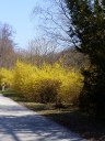Filename=18-04-08_01.jpg
Filesize=268KiB
Dimensions=768x1024
Date added=Apr 25, 2018 18-04-08_01.jpg
