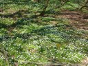 Filename=18-04-08_02.jpg
Filesize=384KiB
Dimensions=1024x768
Date added=Apr 25, 2018 18-04-08_02.jpg