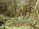 Filename=18-04-08_03.jpg
Filesize=366KiB
Dimensions=1024x768
Date added=Apr 25, 2018 18-04-08_03.jpg