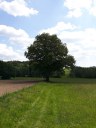Dateiname=18-05-21kaikenried04.jpg
Dateigröße=192KB
Abmessungen: 768x1024
hinzugefügt am: 15. Januar 2019 18-05-21kaikenried04.jpg