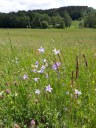 Dateiname=18-05-21kaikenried06.jpg
Dateigröße=250KB
Abmessungen: 768x1024
hinzugefügt am: 15. Januar 2019 18-05-21kaikenried06.jpg
