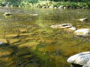 Dateiname=18-08-29bayerisch_kanada03.jpg
Dateigröße=247KB
Abmessungen: 1024x768
hinzugefügt am: 15. Januar 2019 18-08-29bayerisch_kanada03.jpg
