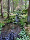 Dateiname=18-08-29bayerisch_kanada06.jpg
Dateigröße=272KB
Abmessungen: 768x1024
hinzugefügt am: 15. Januar 2019 18-08-29bayerisch_kanada06.jpg