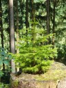 Filename=18-08-29bayerisch_kanada11.jpg
Filesize=262KiB
Dimensions=768x1024
Date added=Jan 15, 2019 18-08-29bayerisch_kanada11.jpg