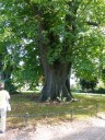 Filename=18-09-06chiemsee12.jpg
Filesize=324KiB
Dimensions=768x1024
Date added=Jan 15, 2019 18-09-06chiemsee12.jpg