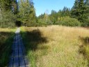 Filename=18-09-16klosterfilz05.jpg
Filesize=289KiB
Dimensions=1024x768
Date added=Jan 15, 2019 18-09-16klosterfilz05.jpg