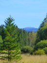Filename=18-09-16klosterfilz06.jpg
Filesize=214KiB
Dimensions=768x1024
Date added=Jan 15, 2019 18-09-16klosterfilz06.jpg