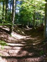Filename=18-09-16klosterfilz10.jpg
Filesize=333KiB
Dimensions=768x1024
Date added=Jan 15, 2019 18-09-16klosterfilz10.jpg