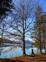 Filename=18-11-10walchensee03.jpg
Filesize=379KiB
Dimensions=768x1024
Date added=Jan 15, 2019 18-11-10walchensee03.jpg