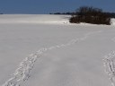 Dateiname=19-01-20schuetzing2.jpg
Dateigröße=99KB
Abmessungen: 1024x768
hinzugefügt am: 20. Januar 2019 19-01-20schuetzing2.jpg