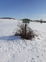 Dateiname=19-01-20schuetzing5.jpg
Dateigröße=198KB
Abmessungen: 768x1024
hinzugefügt am: 20. Januar 2019 19-01-20schuetzing5.jpg