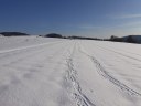 Dateiname=19-01-20schuetzing8.jpg
Dateigröße=132KB
Abmessungen: 1024x768
hinzugefügt am: 20. Januar 2019 19-01-20schuetzing8.jpg