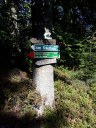Filename=hadriwa29092019-16.jpg
Filesize=346KiB
Dimensions=768x1024
Date added=Jan 15, 2020 hadriwa29092019-16.jpg