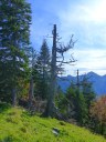 Filename=rauschberg13102019-17.jpg
Filesize=217KiB
Dimensions=768x1024
Date added=Jan 13, 2020 rauschberg13102019-17.jpg
