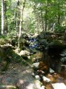 Dateiname=steinklamm20180510_281229.JPG
Dateigröße=277KB
Abmessungen: 768x1024
hinzugefügt am: 08. August 2018 steinklamm20180510_281229.JPG