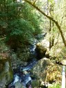 Dateiname=steinklamm20180510_28129.JPG
Dateigröße=325KB
Abmessungen: 768x1024
hinzugefügt am: 08. August 2018 steinklamm20180510_28129.JPG