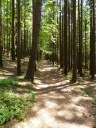 Filename=steinklamm20180510_282529.JPG
Filesize=330KiB
Dimensions=768x1024
Date added=Aug 08, 2018 steinklamm20180510_282529.JPG