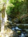 Filename=steinklamm20180510_28329.JPG
Filesize=295KiB
Dimensions=768x1024
Date added=Aug 08, 2018 steinklamm20180510_28329.JPG
