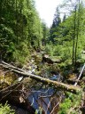 Filename=steinklamm20180510_28429.JPG
Filesize=346KiB
Dimensions=768x1024
Date added=Aug 08, 2018 steinklamm20180510_28429.JPG