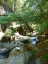 Filename=steinklamm20180510_28529.JPG
Filesize=306KiB
Dimensions=768x1024
Date added=Aug 08, 2018 steinklamm20180510_28529.JPG