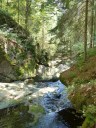 Filename=steinklamm20180510_28729.JPG
Filesize=308KiB
Dimensions=768x1024
Date added=Aug 08, 2018 steinklamm20180510_28729.JPG