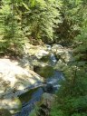Filename=steinklamm20180510_28929.JPG
Filesize=286KiB
Dimensions=768x1024
Date added=Aug 08, 2018 steinklamm20180510_28929.JPG