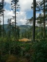 Filename=teufelstisch20-08-16_08.jpg
Filesize=257KiB
Dimensions=768x1024
Date added=May 18, 2021 teufelstisch20-08-16_08.jpg