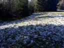 Filename=vogelsang10112019-05.jpg
Filesize=360KiB
Dimensions=1024x768
Date added=Jan 15, 2020 vogelsang10112019-05.jpg