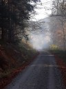 Filename=vogelsang10112019-16.jpg
Filesize=316KiB
Dimensions=768x1024
Date added=Jan 15, 2020 vogelsang10112019-16.jpg