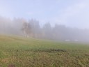 Filename=vogelsang10112019-18.jpg
Filesize=187KiB
Dimensions=1024x768
Date added=Jan 15, 2020 vogelsang10112019-18.jpg